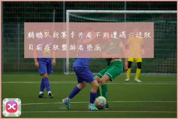 鹈鹕队新赛季开局不利遭遇六连败目前在联盟排名垫底