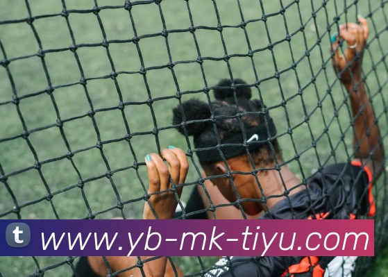 App Interface Preview