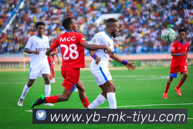 MK体育APP 封面图